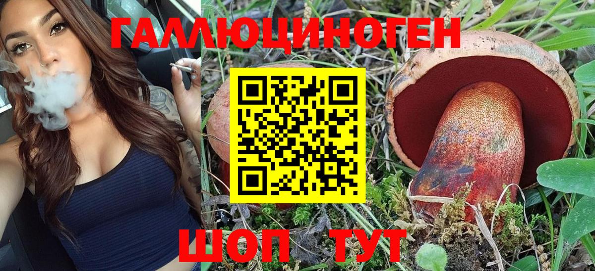 Псилоцибиновые грибы GOLDEN TEACHER  Вход с VPN  Воткинск  Псилоцибиновые грибы Magic Shrooms 